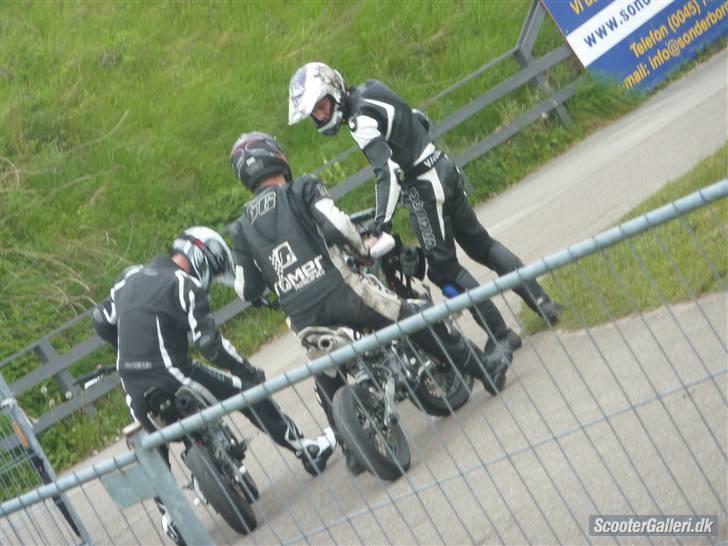 Kayo CRF-H NR. 62 billede 10