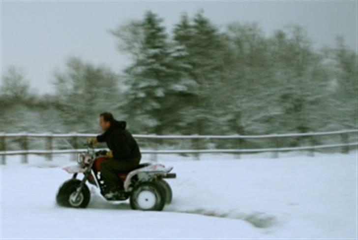 Honda ATC 250SX billede 4