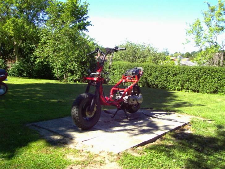 PGO Hot 50 byttet - sådan så den ud da jeg fik den..  billede 9