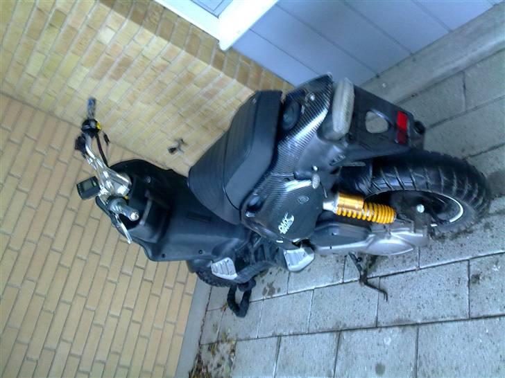 PGO Pmx Naked Carbon  billede 3