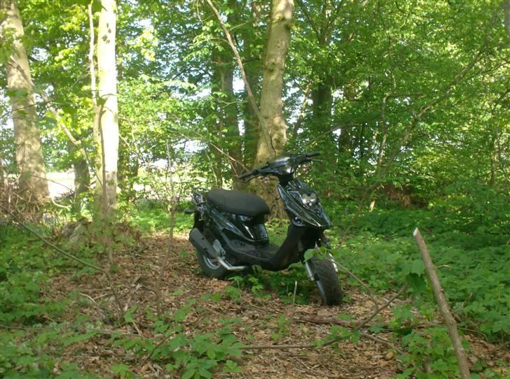 PGO hot 50 billede 3