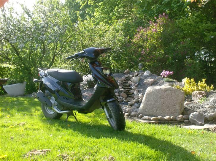 PGO hot 50 billede 4