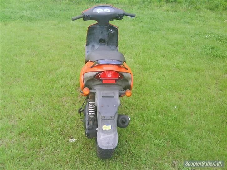 Aprilia rally billede 3