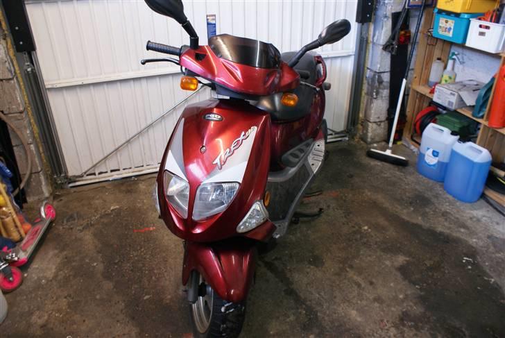 PGO t-rex 110 stjålet :( billede 2