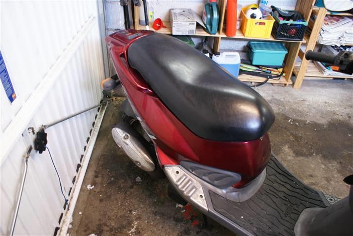 PGO t-rex 110 stjålet :( billede 4