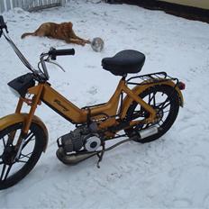 Puch Maxi King (SOLGT)