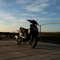 Giantco Stealth 90c Bambus Rakket