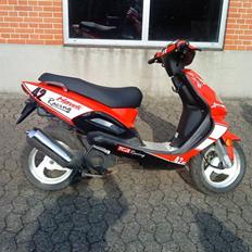 TGB Pegasus Hawk 303r