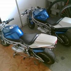 MiniBike dax