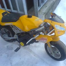MiniBike (solgt)