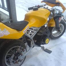 MiniBike (solgt)