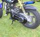 Suzuki Street Magic
