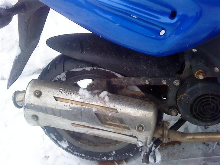 CPI hussar solgt billede 2