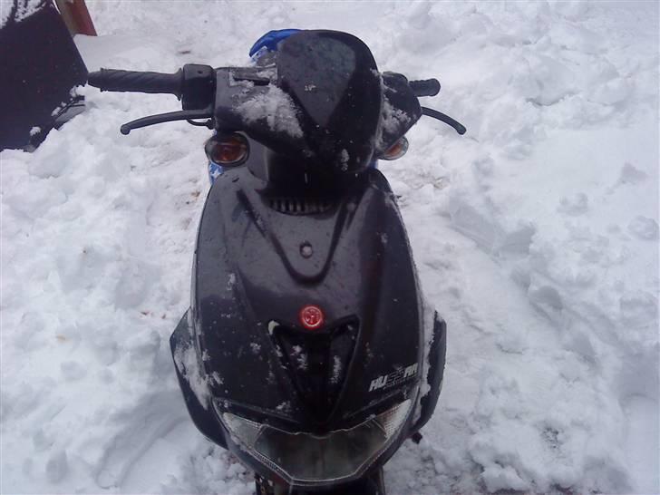 CPI hussar solgt billede 6