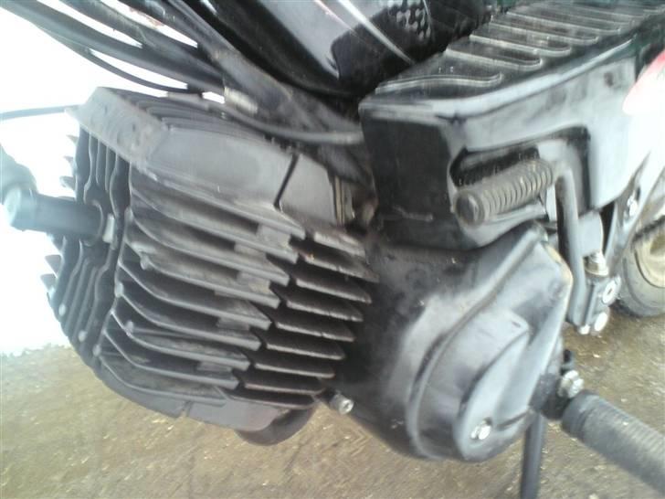 Tomos Standard ( solgt) billede 6