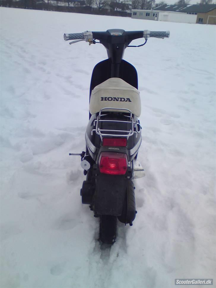 Honda Melody Mini NT50 * VÆK * billede 5