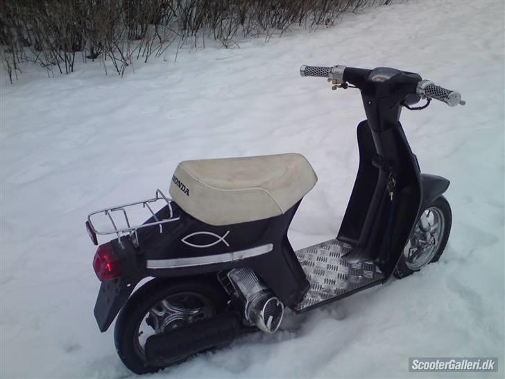 Honda Melody Mini NT50 * VÆK * billede 6