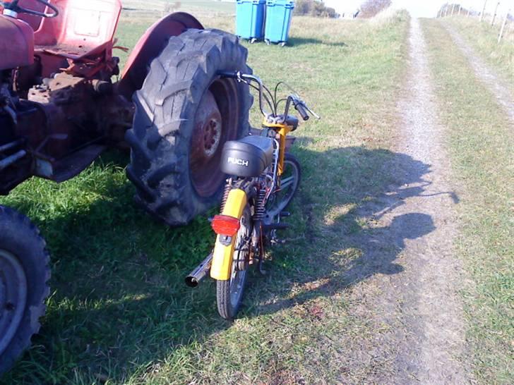 Puch maxi 2 gear billede 5