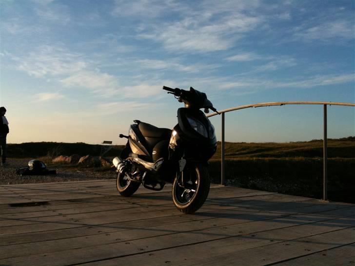 Giantco Stealth 90c Bambus Rakket billede 2