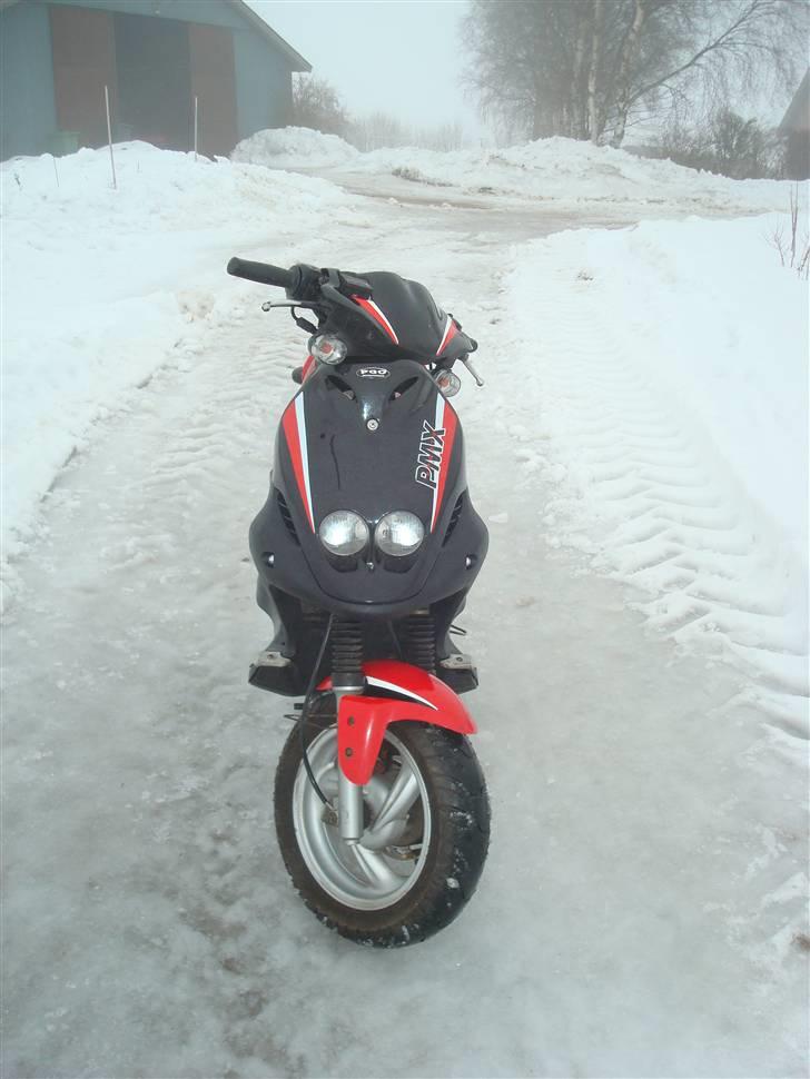 PGO PMX Sport [Møgsvinet] billede 4