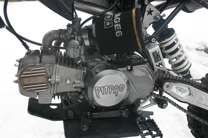 Pitpro 124cc! byttet billede 9