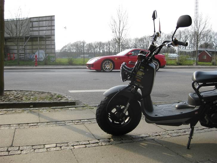 Honda Zoomer / Ruckus billede 19