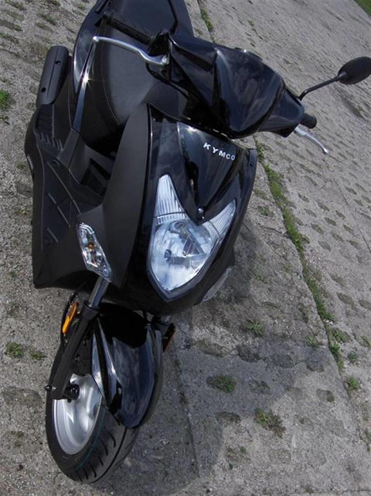 Kymco Agility - Et dejligt front billede :) (ejeren før viste mig dette billede af den, som han havde taget) billede 1