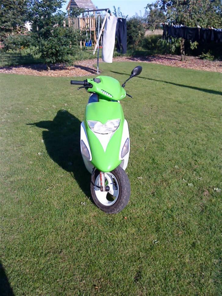 Honda SFX (Til salg) - en rigtig smukkert siger jeg bare :P billede 4