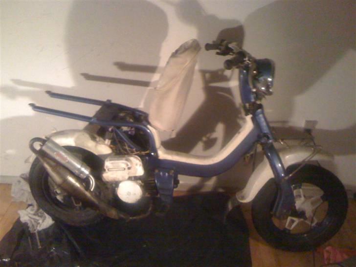 Suzuki Fz 50 billede 13