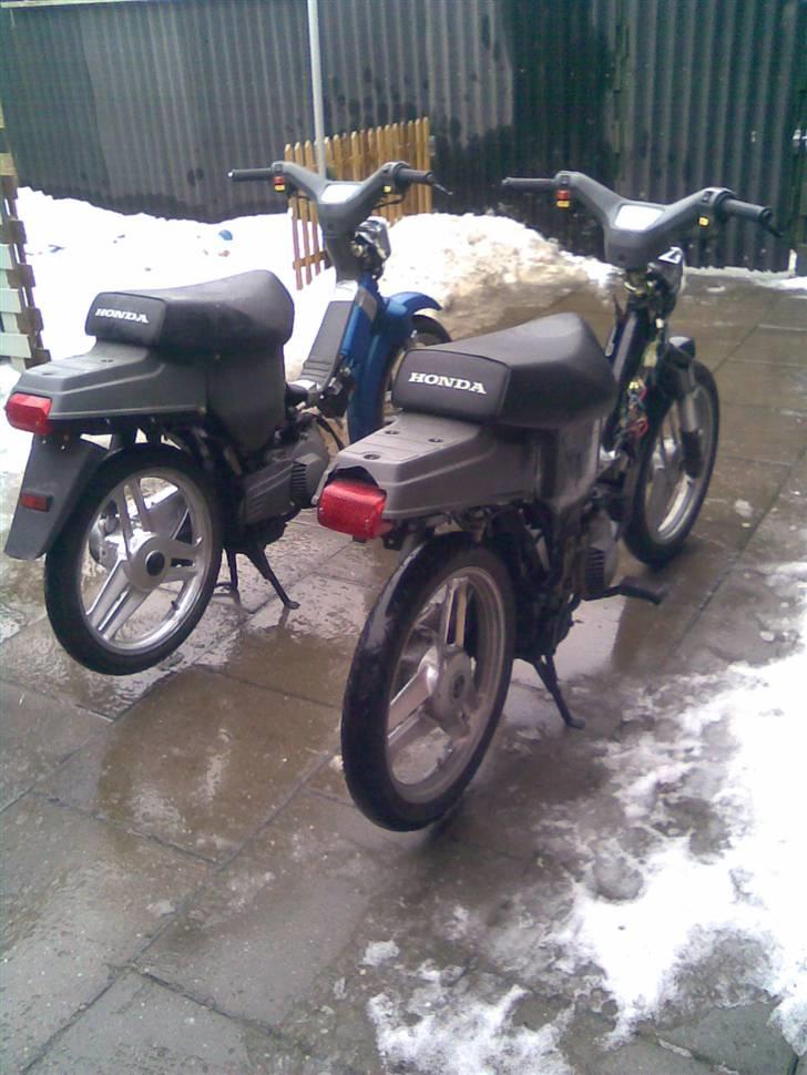 Honda wallaroo solgt billede 1