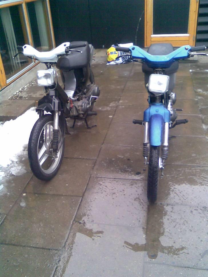 Honda wallaroo solgt billede 4