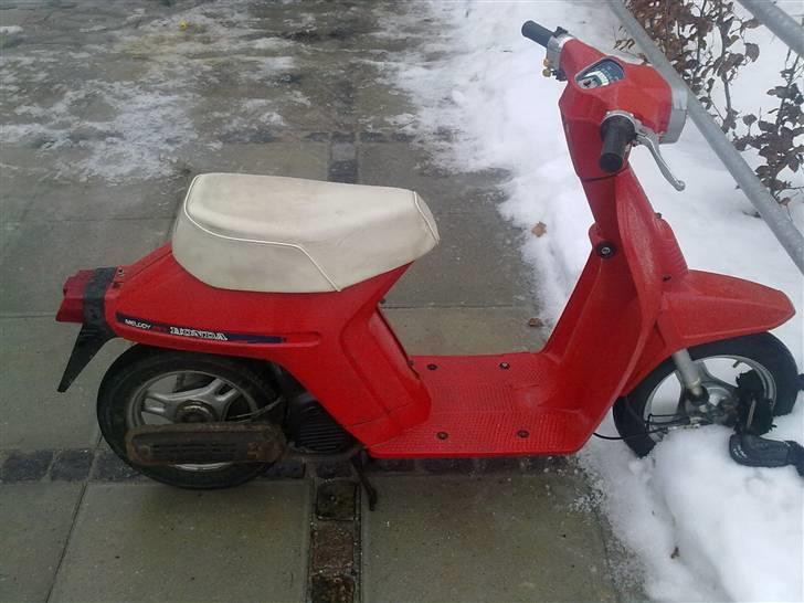 Honda Melody Mini  billede 1