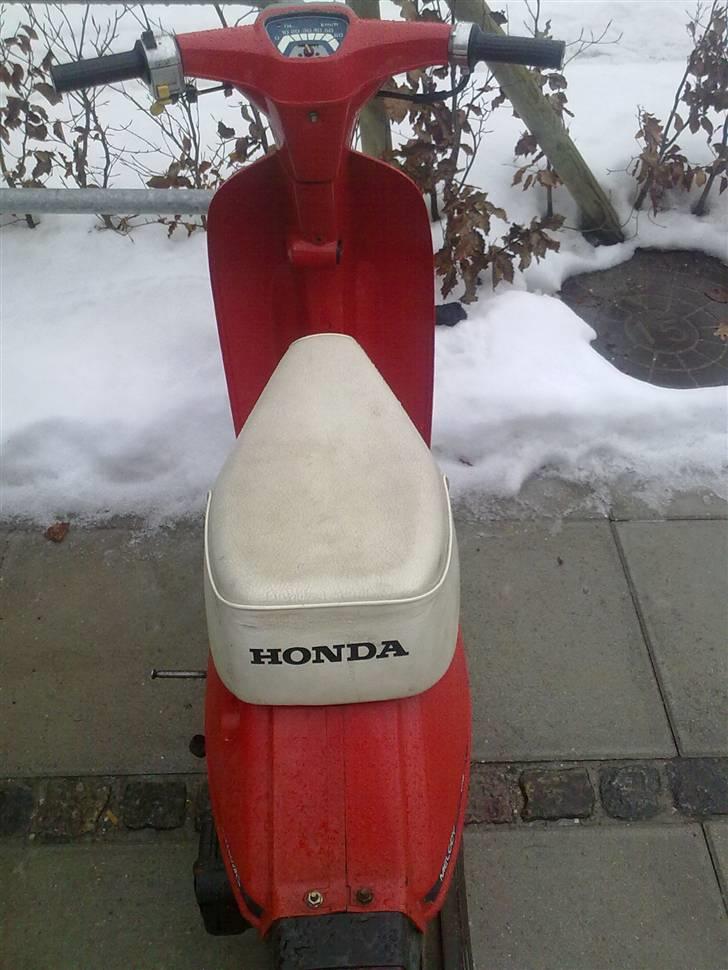 Honda Melody Mini  - Sædet har kun to små revner!! Næsten intet :) billede 3