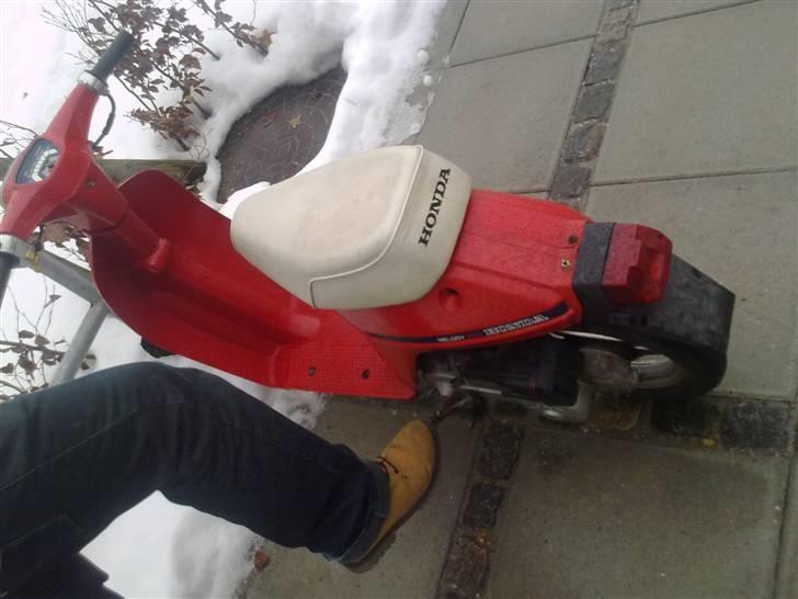 Honda Melody Mini  billede 4