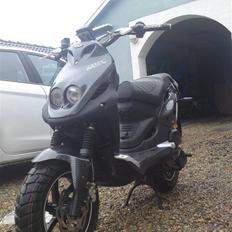 PGO pmx naked ''carbon''