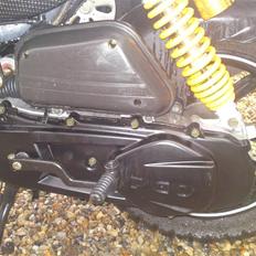 PGO pmx naked ''carbon''