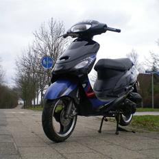 Giantco Sprint sport