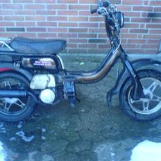 Suzuki FZ50 *Pusser* SOLGT