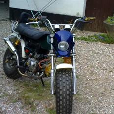 Skyteam t,rex 50,ccm