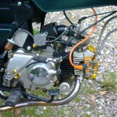 Skyteam t,rex 50,ccm