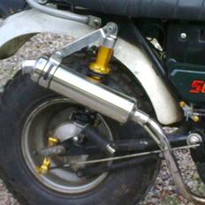 Skyteam t,rex 50,ccm