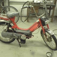 Honda camino er væk