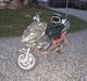 Yamaha ¤$AeRox$¤ Hugget op 