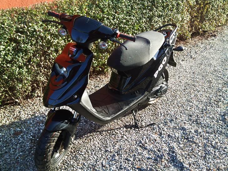 PGO Hot 50 billede 1