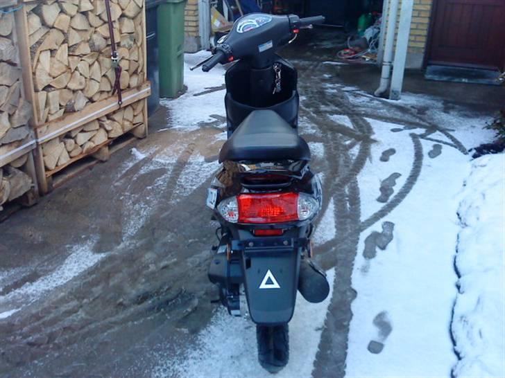 TMS EU Scooter S3 billede 4