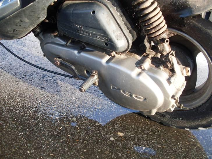 PGO  110 ccm byttet billede 2