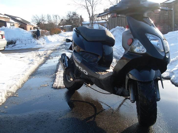 PGO  110 ccm byttet billede 7