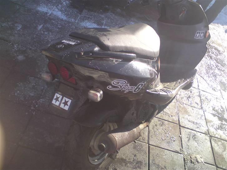 PGO  110 ccm byttet billede 9