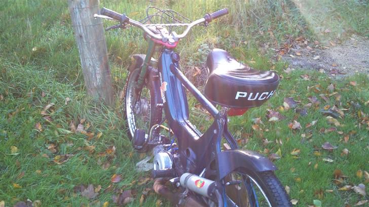 Puch Maxi -solgt billede 3