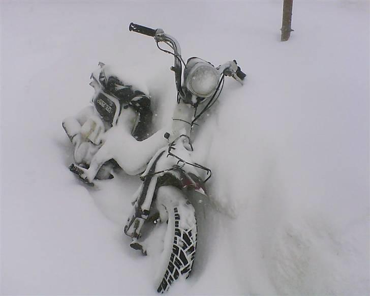 Suzuki FZ50 byttet caio - FZ EREN I SNE VEJR billede 6